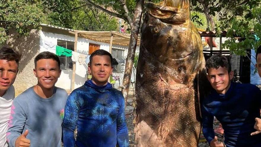 Cinco jóvenes pescaron un mero gigante de 300 kilos en las playas de Santa Verónica