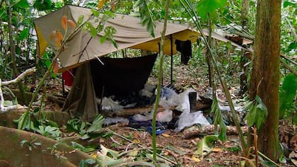 Ecuador desmantela ocho campamentos ilegales en la frontera norte, vinculados a disidencias colombianas