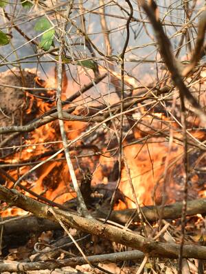 El devastador cambio climático | Columna de José Conuegra