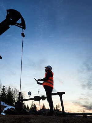 Plinio descubre los volcanes