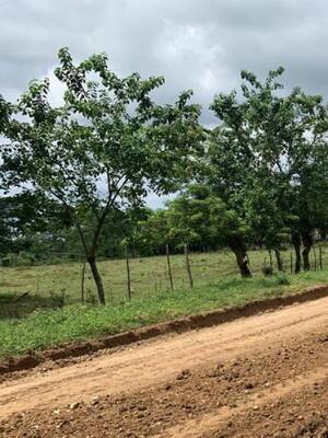 Una pavimentación que aviva las esperanzas