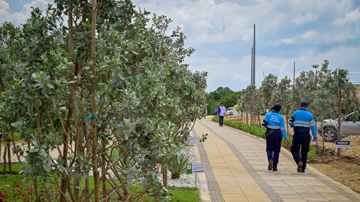 La nueva cara de Puerto Mocho: postales del desarrollo para el turismo