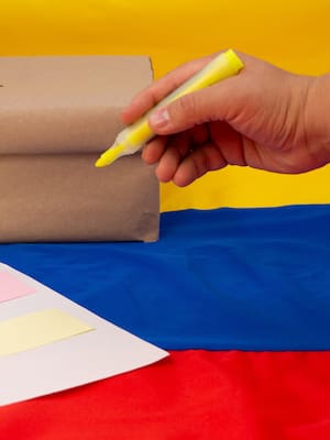 Reflexiones acerca de las presidenciales