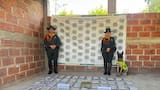 Canino antidrogas halló 30 mil dosis de marihuana en Santa Marta