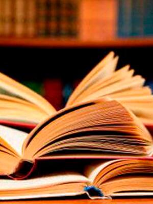 ¿Por qué no en español?