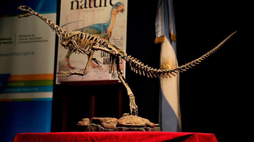 Así es Chilesaurus, el dinosaurio más 'desconcertante' e 'intrigante'