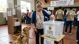 ¿Puede ir a votar con mascotas este 8 de marzo? Esto recomiendan las autoridades para las elecciones 2026