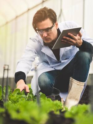 El futuro de la agricultura