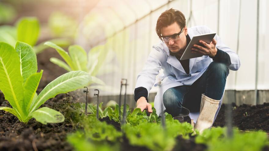 El futuro de la agricultura