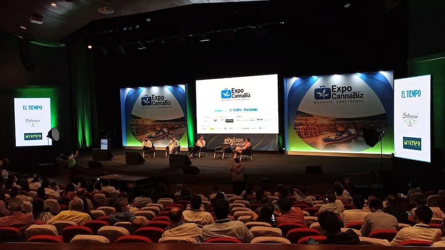 Reglamentación del cannabis abre campo a nuevos negocios en Colombia