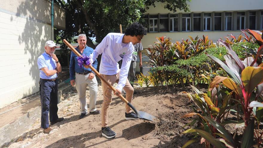 Realizan plan de siembra de árboles en la Universidad del Norte