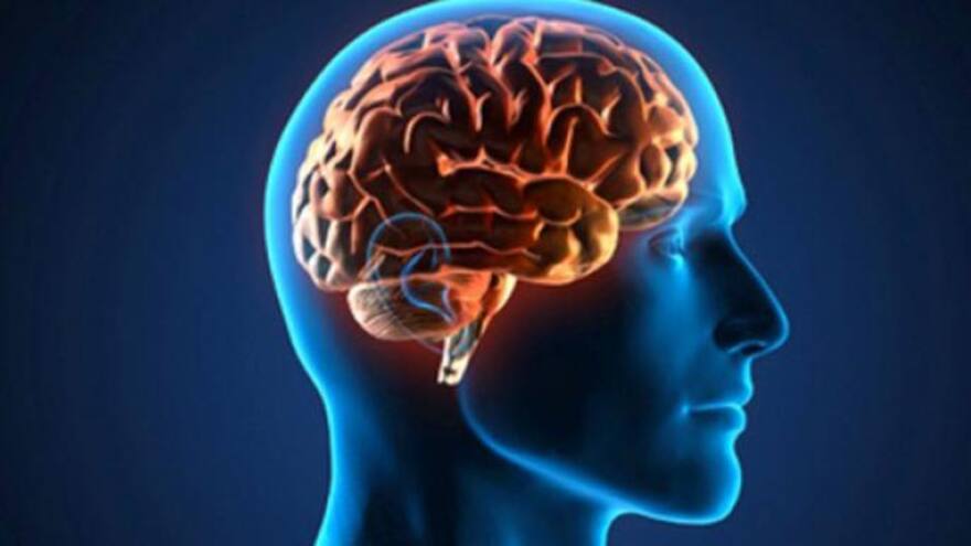 La Unesco busca regular el uso de la neurotecnología para resguardar la privacidad mental