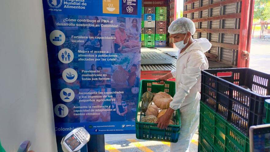 Ahuyamas cosechadas en Maicao fueron compradas para el PAE