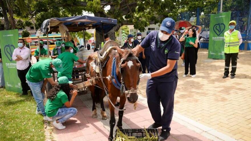 Convocan a evaluación los avances proyecto de vehículos de tracción animal