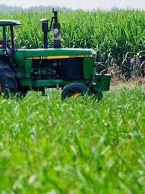 La plata para el campo III