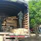Millonario decomiso de madera ilegal en vías de Córdoba