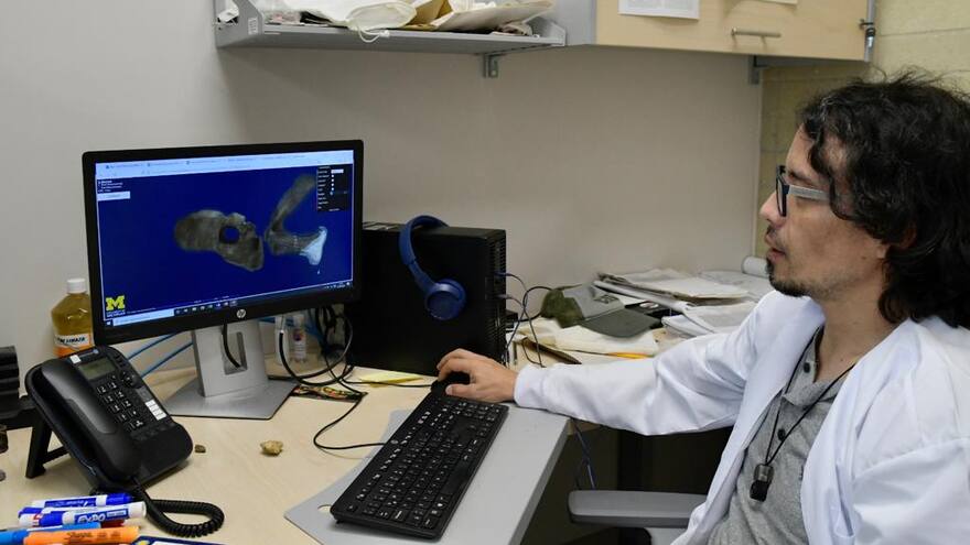 'El Perijasaurus es uno de los hallazgos más interesantes que se han hecho'