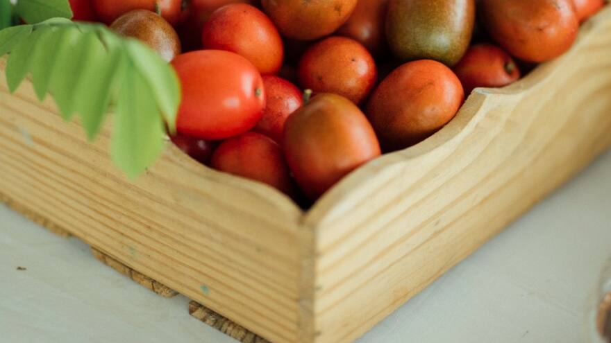 En Campeche realizan Festival de Ciruela para estrenar nueva plaza