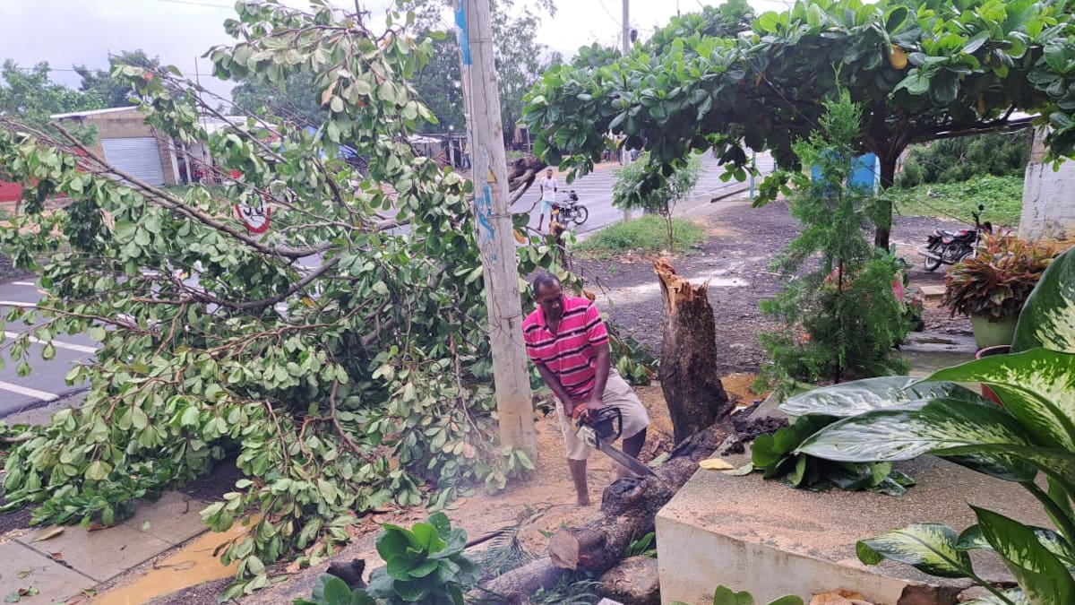 Vendaval causa estragos en Córdoba y Sucre