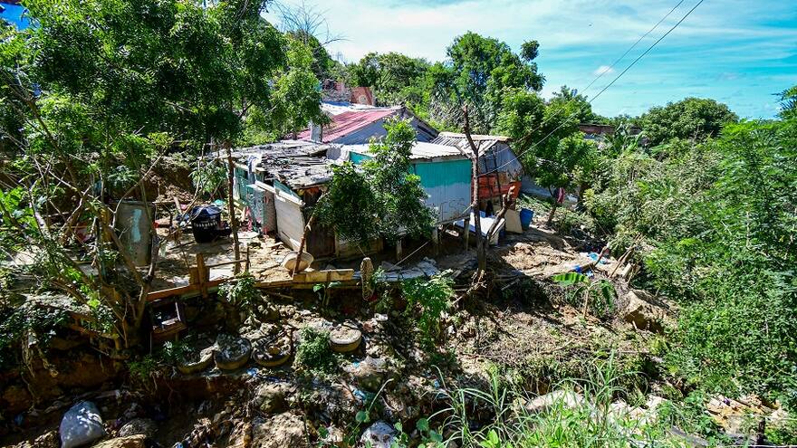 Cerros de Puerto están siendo deforestados, ¿quién controla?