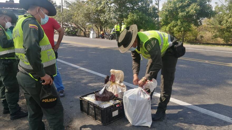 Cargamento de carne y queso es decomisado por la Policía en un bus intermunicipal