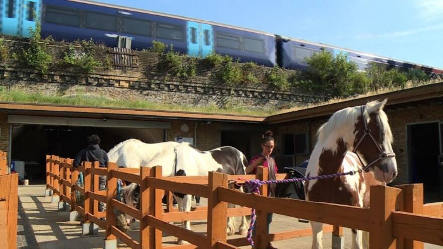 Así funciona el club ecuestre que da lecciones de vida a niños de Londres