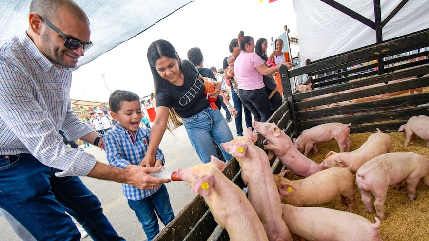 Panaca, una experiencia para disfrutar del campo