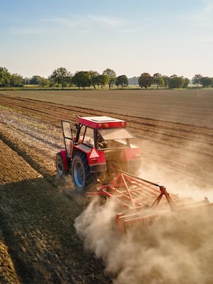 2025: ¿Transformación o espejismo en la política agropecuaria?