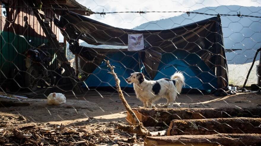 Conmemoran la memoria de las Víctimas de Desapariciones Forzadas