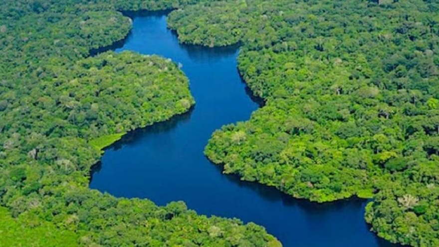 Piden 'criminalizar' contacto con pueblos indígenas aislados en la Amazonía