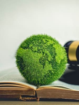 La Constitución ecológica del 91