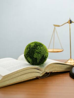 Consulta previa ambiental