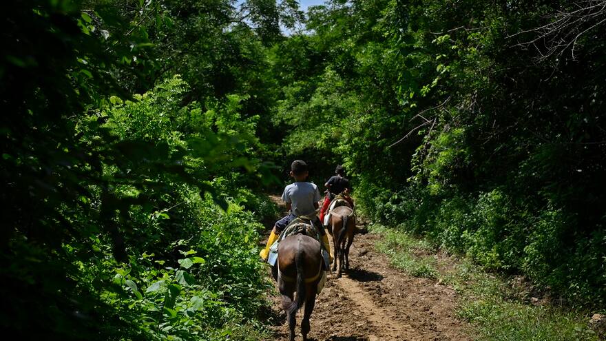 Priorizan el proyecto para recuperar vía a Cienaguita