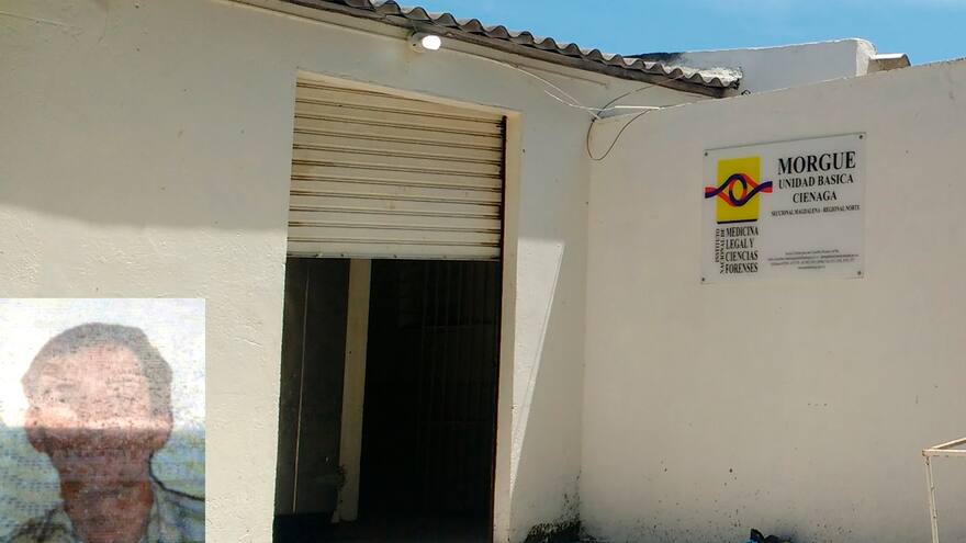 Un labriego cortaba leña y murió aplastado por un árbol