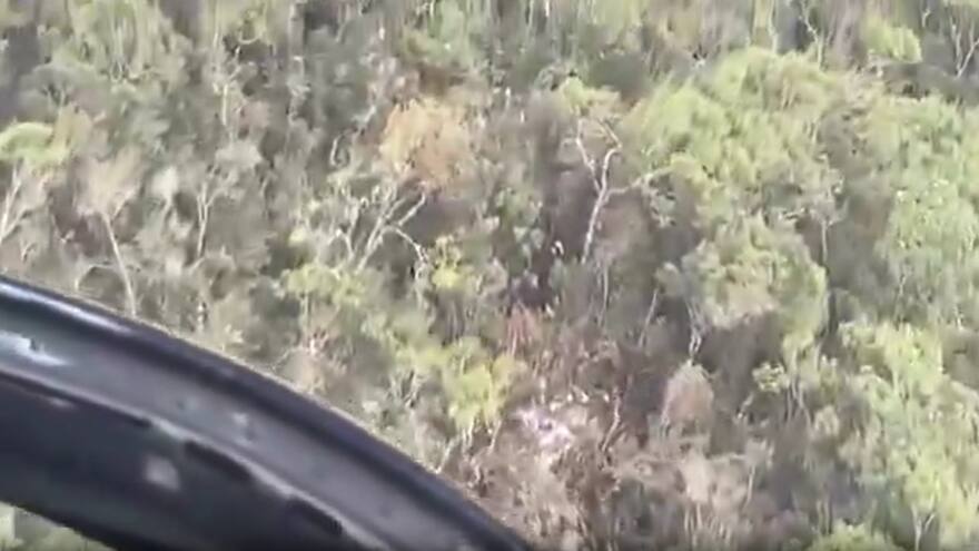 Restos de avioneta desaparecida entre Chocó y Medellín estarían en zona boscosa de Urrao