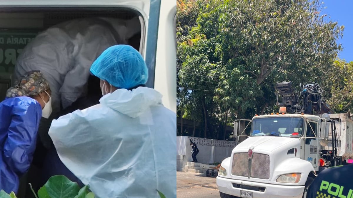 OPERATIVO EN ‘CASA DE LOS GATOS’: Rescatan animales y limpian propiedad