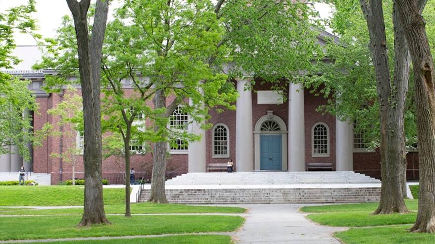 Universidad Harvard abrió cursos gratuitos y en línea: así puede inscribirse