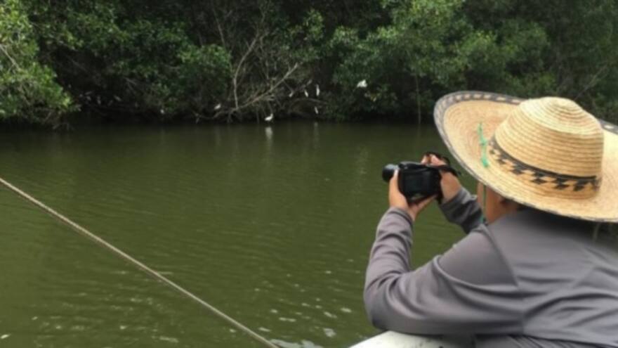 Ciudad Manglar: el área marina que custodian los pescadores de Cispatá