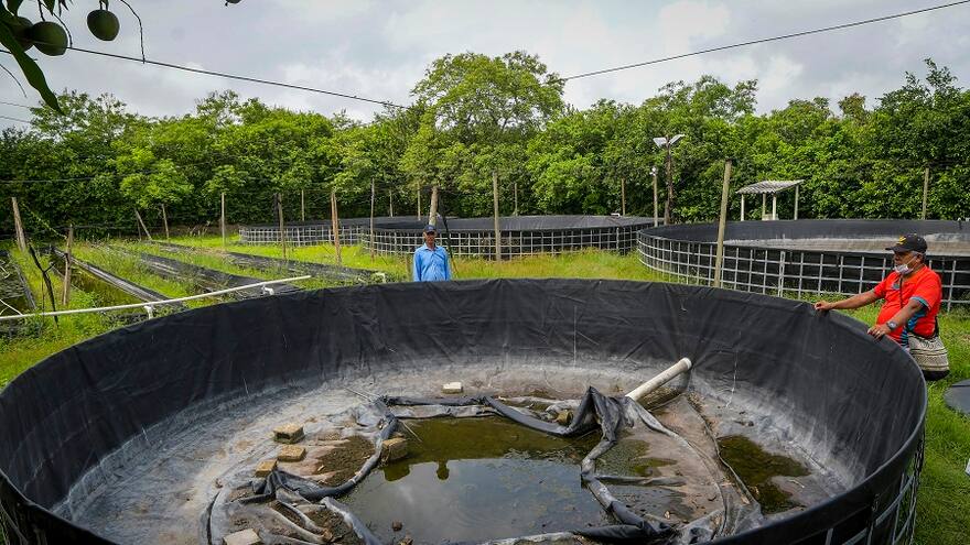 Pescadores del Atlántico piden que se reactive el proyecto de acuaponía