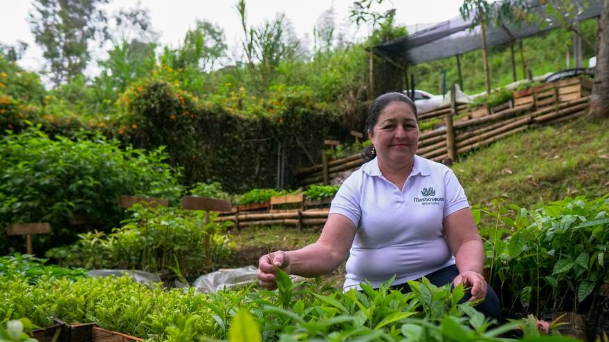 Abiertas convocatorias de regalías ambientales por $650 mil millones