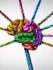 Neurodiversidad y neurodivergencia