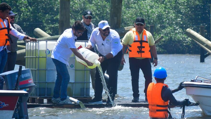 Se inicia proceso de desinfección de ciénaga de Mallorquín