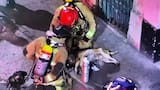 Video: bomberos salvaron a un perro atrapado durante un incendio gracias a las cámaras de seguridad