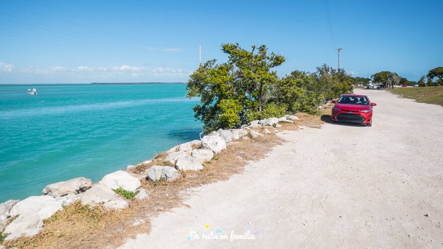 Le amputan pierna a niño de 11 años luego de mordida de tiburón en Florida, Estados Unidos