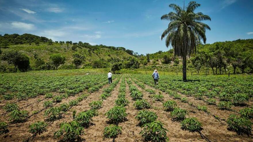 Expropiación de tierras: Gobierno desmiente que esté proponiendo la posibilidad en nuevo decreto