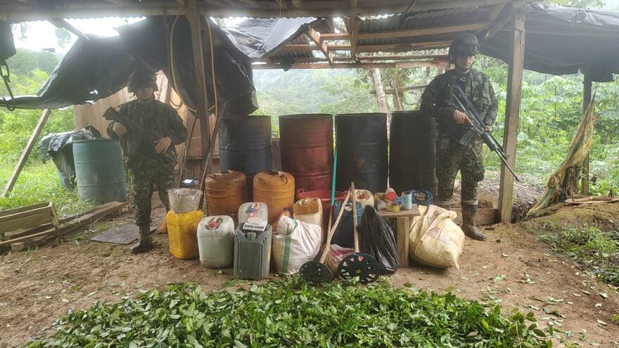 Ubican y destruyen laboratorios de pasta de coca en Córdoba