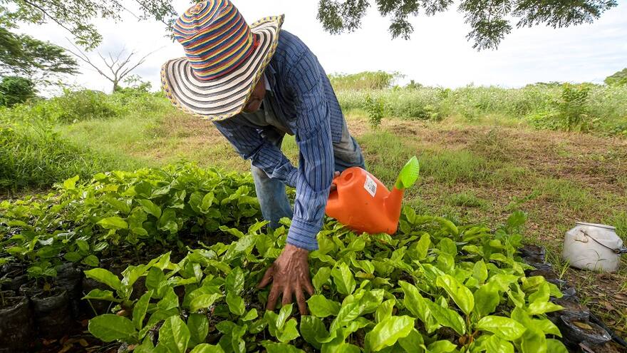 Los cuatro ejes que impulsan la transformación del Atlántico