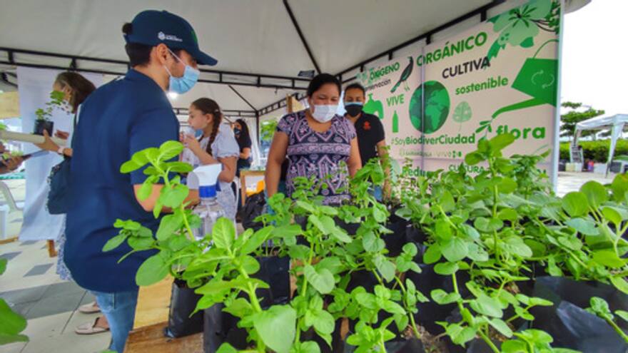 Más de dos mil personas han participado de feria ambiental