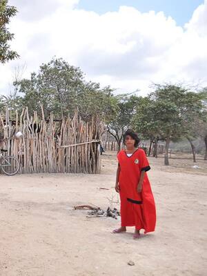 ¿Y si buscamos culpables?