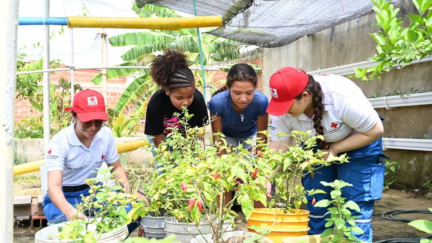 Proyecto RAI ganador del Premio Nacional de Ecología Planeta Azul
